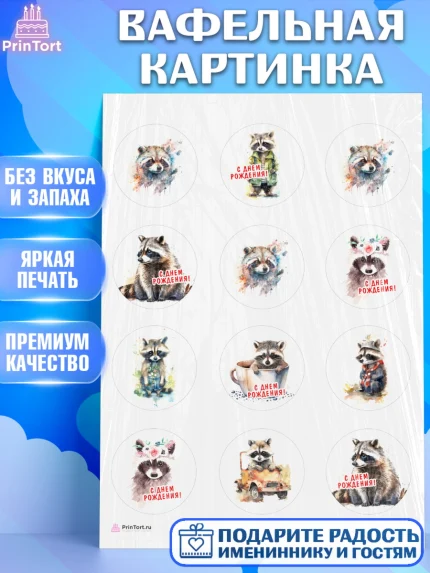 Вафельная картинка, Енот, Животные, Девочка, День рождения, арт. PT211441