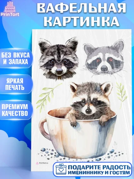 Вафельная картинка, Енот, Животные, Девочка, День рождения, арт. PT211442