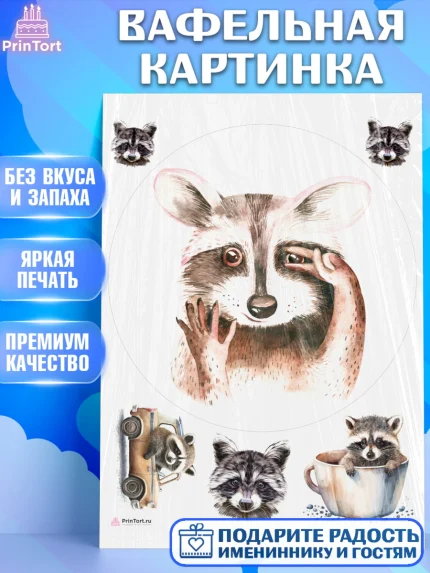 Вафельная картинка, Енот, Животные, Девочка, День рождения, арт. PT211443