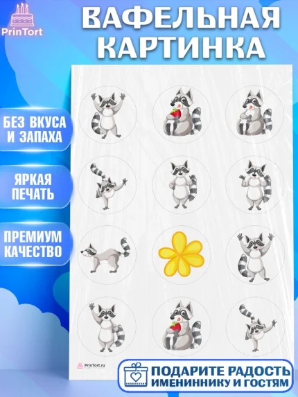 Вафельная картинка, Енот, Животные, Девочка, День рождения, арт. PT211444