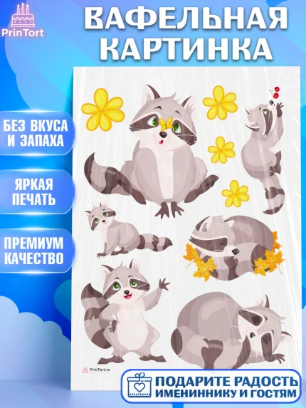 Вафельная картинка, Енот, Животные, Девочка, День рождения, арт. PT211445