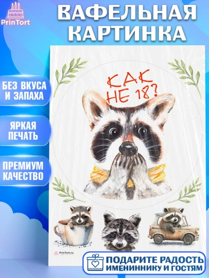 Вафельная картинка, Енот, Животные, Девочка, День рождения, арт. PT211447