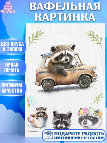 Вафельная картинка, Енот, Животные, Девочка, День рождения, арт. PT211448