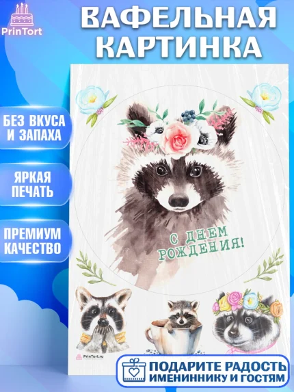 Вафельная картинка, Енот, Животные, Девочка, День рождения, арт. PT211449