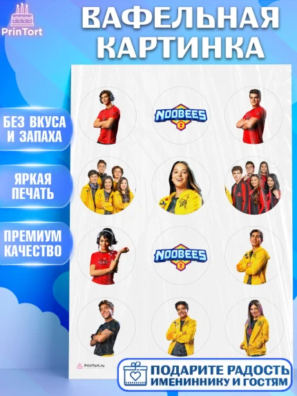 Вафельная картинка, Нубы, Noobees, Девочка, День рождения, арт. PT211655