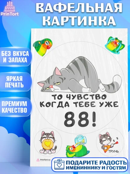Вафельная картинка, с днем рождения, Девушка, 88 лет, День рождения, арт. PT211985