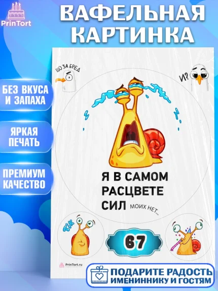 Вафельная картинка, с днем рождения, Девушка, 67 лет, День рождения, арт. PT212106