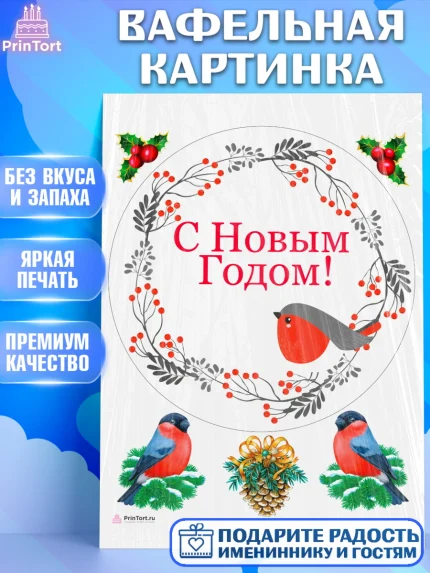 Вафельная картинка, Новый год 2024, Девочка, Новый год, арт. PT212752