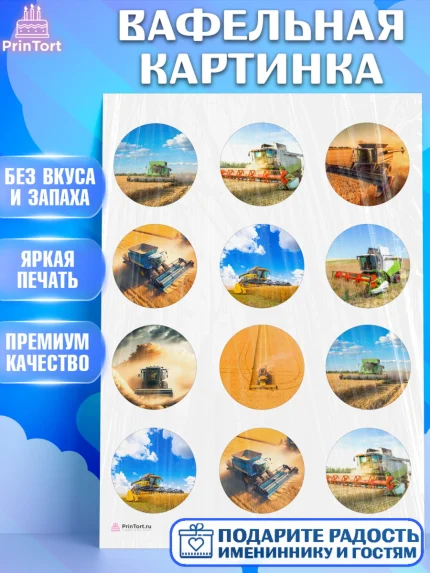 Вафельная картинка, Комбайнер, Девочка, День рождения, арт. PT213361