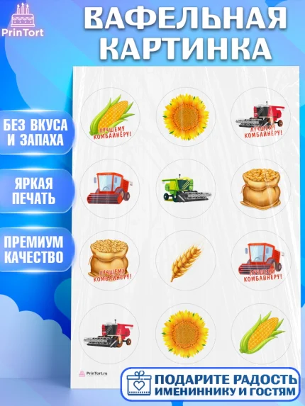 Вафельная картинка, Комбайнер, Девочка, День рождения, арт. PT213366