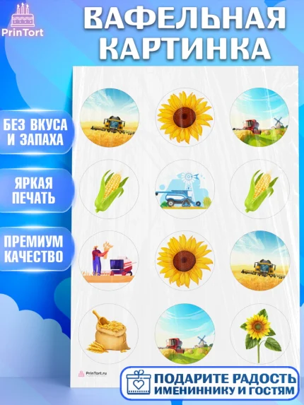 Вафельная картинка, Комбайнер, Девочка, День рождения, арт. PT213370