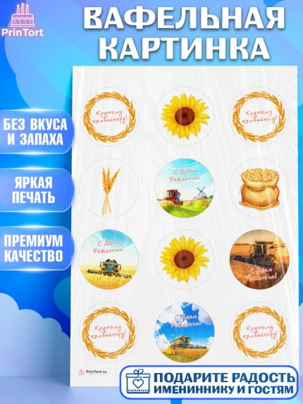 Вафельная картинка, Комбайнер, Девочка, День рождения, арт. PT213373