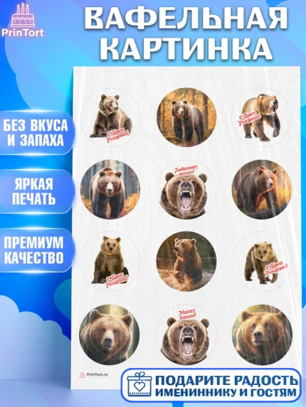 Вафельная картинка, Медведь, Мальчик, День рождения, арт. PT213529