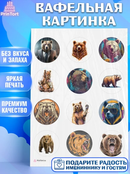 Вафельная картинка, Медведь, Мальчик, День рождения, арт. PT213538