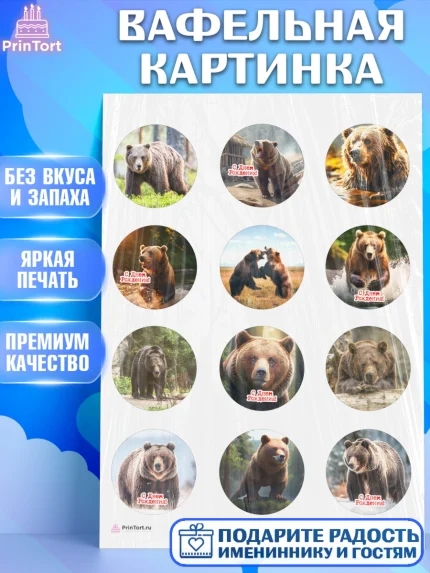 Вафельная картинка, Медведь, Мальчик, День рождения, арт. PT213541
