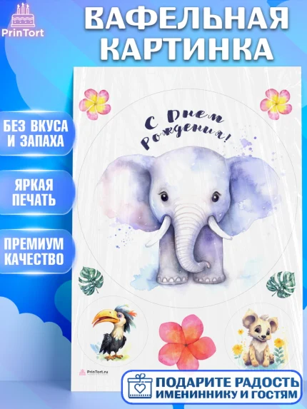 Вафельная картинка, Животные Сафари, звери, животные, слон, птица, цветы, Девочка, День рождения, арт. PT213650