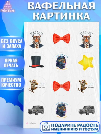 Вафельная картинка, Что за лев этот тигр, тигр, джип, бабочка, звезда, Мальчик, День рождения, арт. PT216304