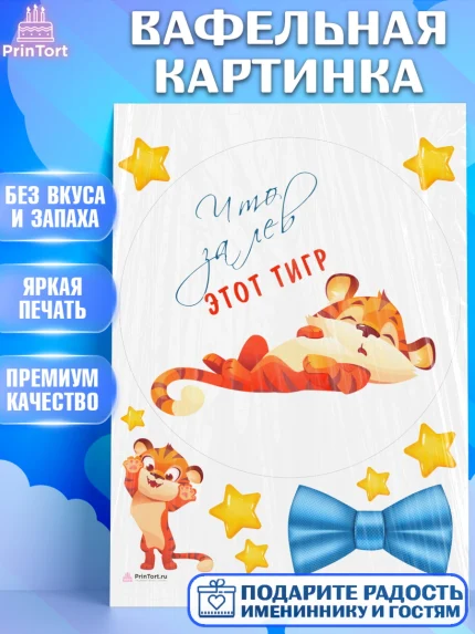 Вафельная картинка, Что за лев этот тигр, тигр, бабочка, звезды, Мальчик, День рождения, арт. PT216311