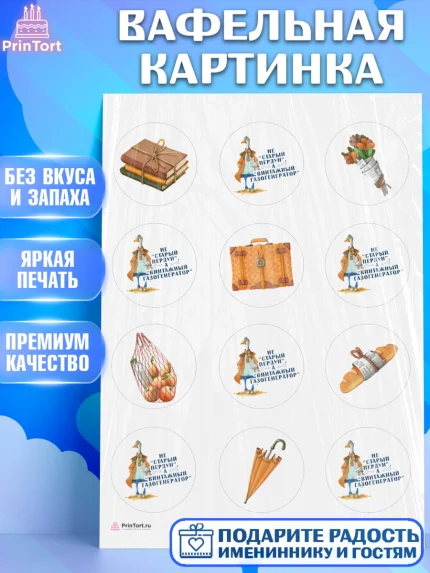 Вафельная картинка, Не старый пердун, гусь, чемодан, Мальчик, День рождения, арт. PT216321