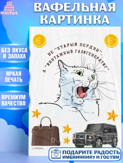 Вафельная картинка, Не старый пердун, кот, джип, монеты, звезды, Мальчик, День рождения, арт. PT216332