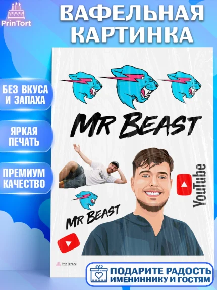 Вафельная картинка, Мистер Бист, mister beast, ютуб, youtube, Девочка, День рождения, арт. PT217019
