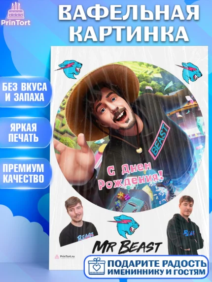 Вафельная картинка, Мистер Бист, mister beast, ютуб, youtube, Девочка, День рождения, арт. PT217020