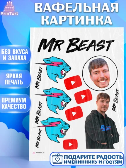 Вафельная картинка, Мистер Бист, mister beast, ютуб, youtube, Девочка, День рождения, арт. PT217022