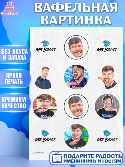 Вафельная картинка, Мистер Бист, mister beast, ютуб, youtube, Девочка, День рождения, арт. PT217024