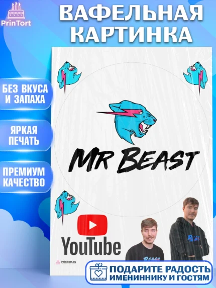 Вафельная картинка, Мистер Бист, mister beast, ютуб, youtube, Девочка, День рождения, арт. PT217026