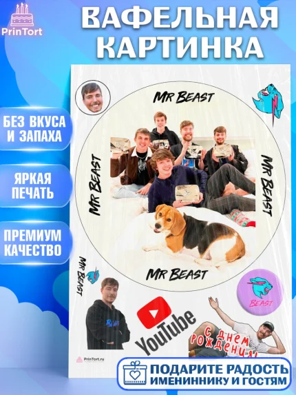 Вафельная картинка, Мистер Бист, mister beast, ютуб, youtube, Девочка, День рождения, арт. PT217027
