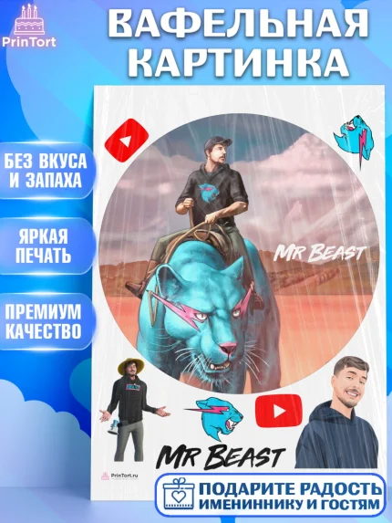 Вафельная картинка, Мистер Бист, mister beast, ютуб, youtube, Девочка, День рождения, арт. PT217031