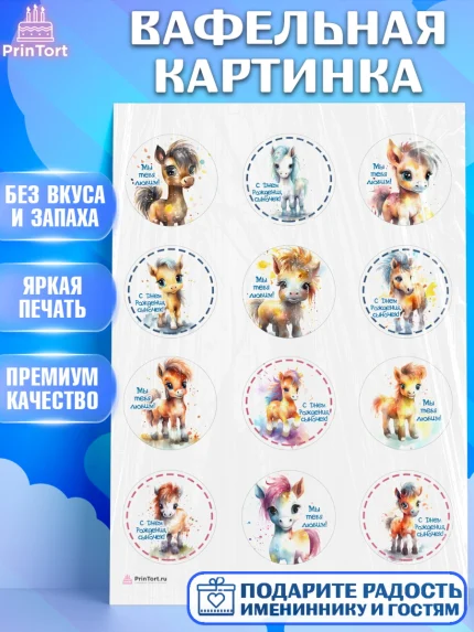 Вафельная картинка, Пони, лошадка, Мальчик, День рождения, арт. PT217061