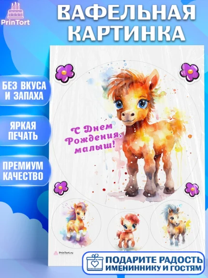 Вафельная картинка, Пони, лошадка, Мальчик, День рождения, арт. PT217067