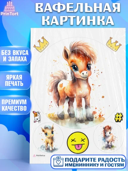 Вафельная картинка, Пони, лошадка, корона, смайл, Девочка, День рождения, арт. PT217072
