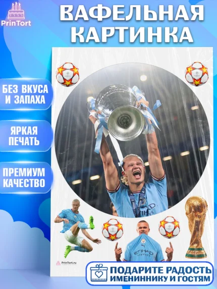 Вафельная картинка, Эрлинг Холланд, футболист Эрлинг Холланд, Мальчик, День рождения, арт. PT217111