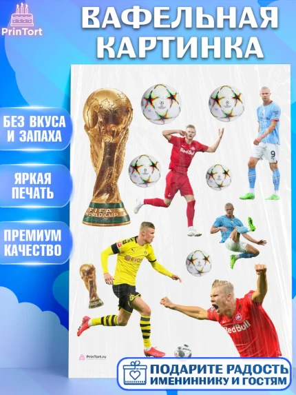 Вафельная картинка, Эрлинг Холланд, футболист Эрлинг Холланд, Мальчик, День рождения, арт. PT217113