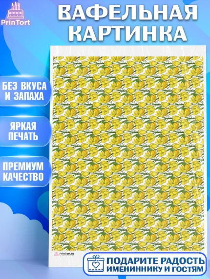 Вафельная картинка, Цветы, Девочка, День рождения, арт. PT217610
