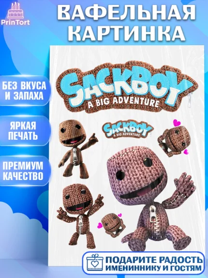 Вафельная картинка, Sackboy a big adventute, Sackboy a big adventure, Девочка, День рождения, арт. PT218114