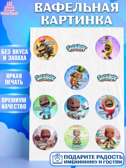Вафельная картинка, Sackboy a big adventute, Sackboy a big adventure, Девочка, День рождения, арт. PT218116
