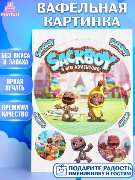 Вафельная картинка, Sackboy a big adventute, Sackboy a big adventure, Девочка, День рождения, арт. PT218129