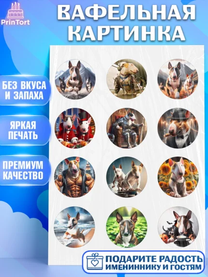Вафельная картинка, Бультерьер, Собака, Девочка, День рождения, арт. PT218307
