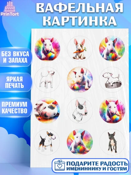 Вафельная картинка, Бультерьер, Собака, Девочка, День рождения, арт. PT218310