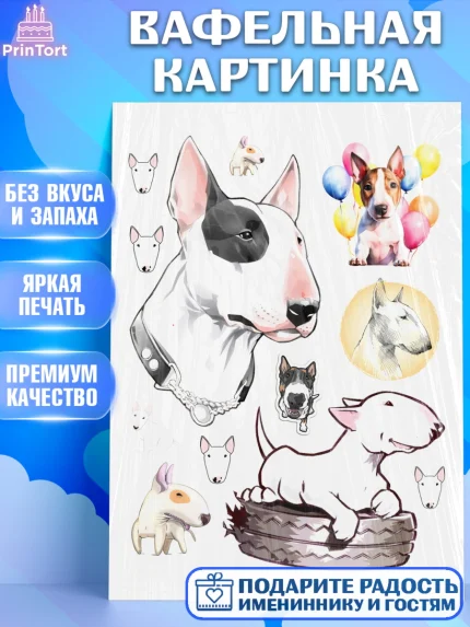 Вафельная картинка, Бультерьер, Собака, Девочка, День рождения, арт. PT218311