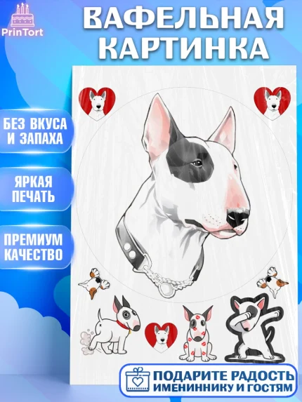 Вафельная картинка, Бультерьер, Собака, Девочка, День рождения, арт. PT218312
