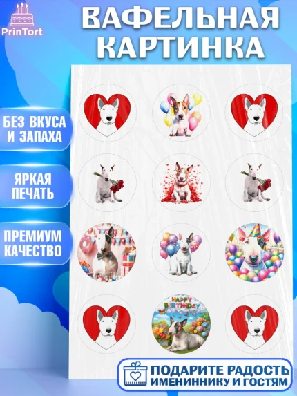 Вафельная картинка, Бультерьер, Собака, Девочка, День рождения, арт. PT218313