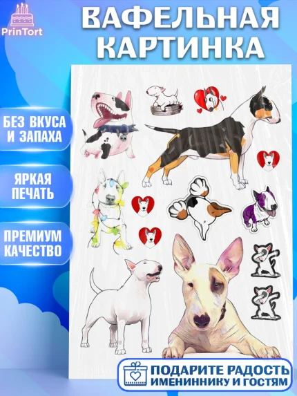 Вафельная картинка, Бультерьер, Собака, Девочка, День рождения, арт. PT218314
