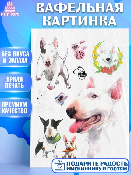 Вафельная картинка, Бультерьер, Собака, Девочка, День рождения, арт. PT218317