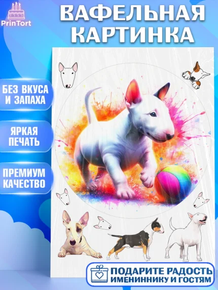 Вафельная картинка, Бультерьер, Собака, Девочка, День рождения, арт. PT218319