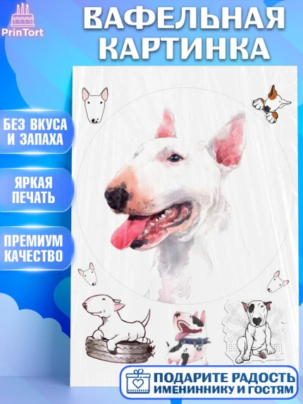 Вафельная картинка, Бультерьер, Собака, Девочка, День рождения, арт. PT218320