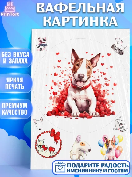 Вафельная картинка, Бультерьер, Собака, Девочка, День рождения, арт. PT218321